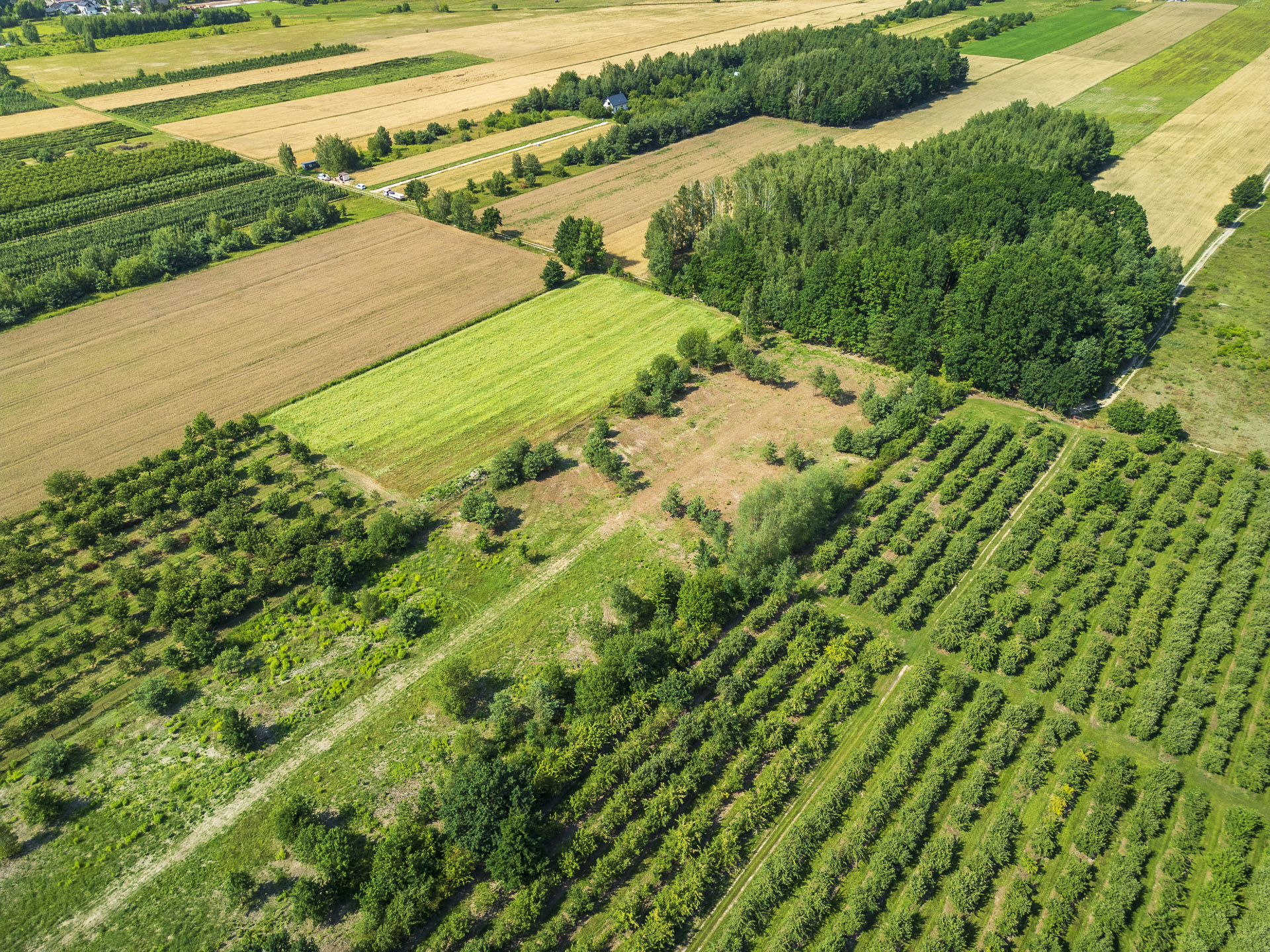 DJI_0731
