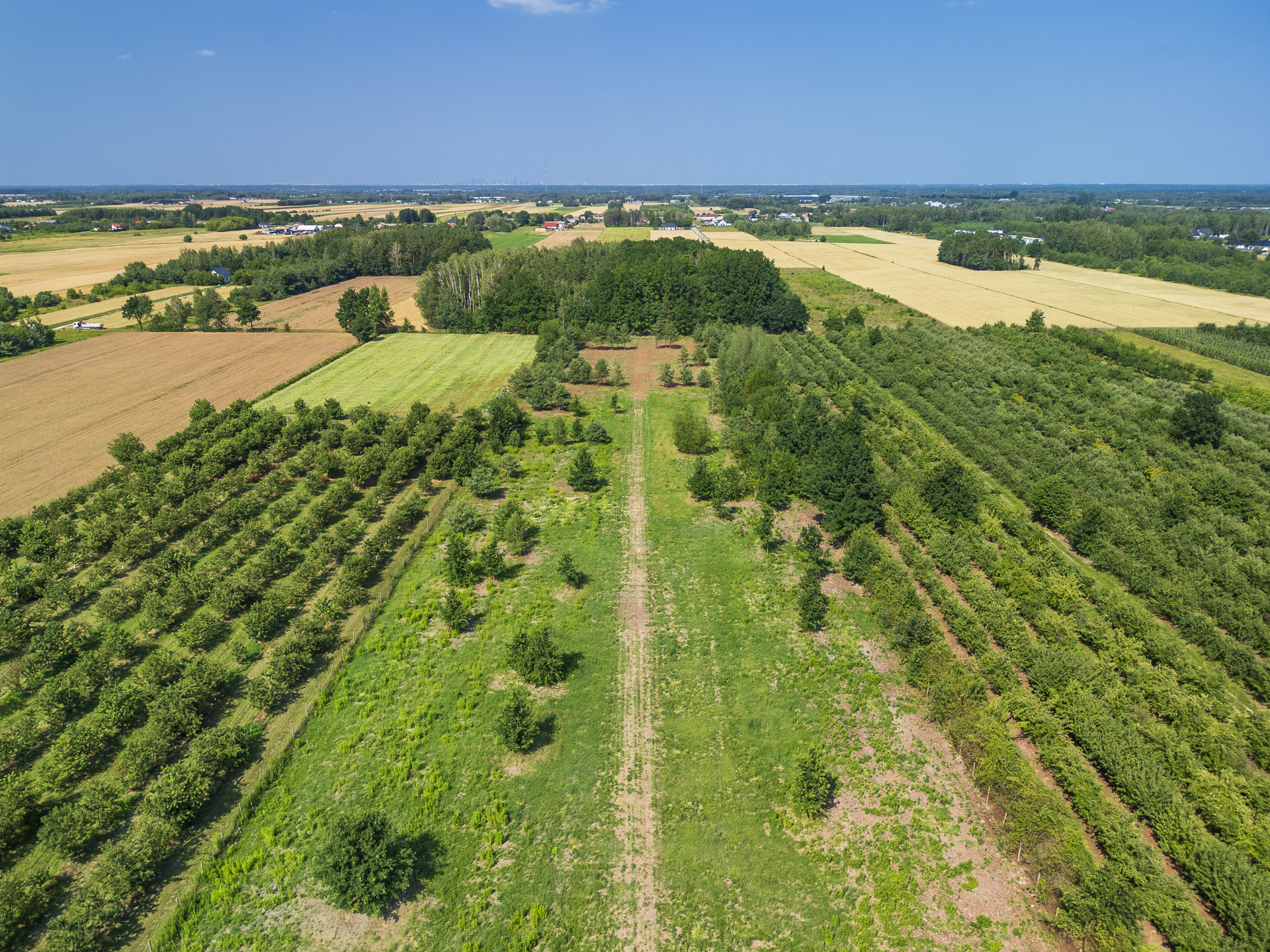 DJI_0734