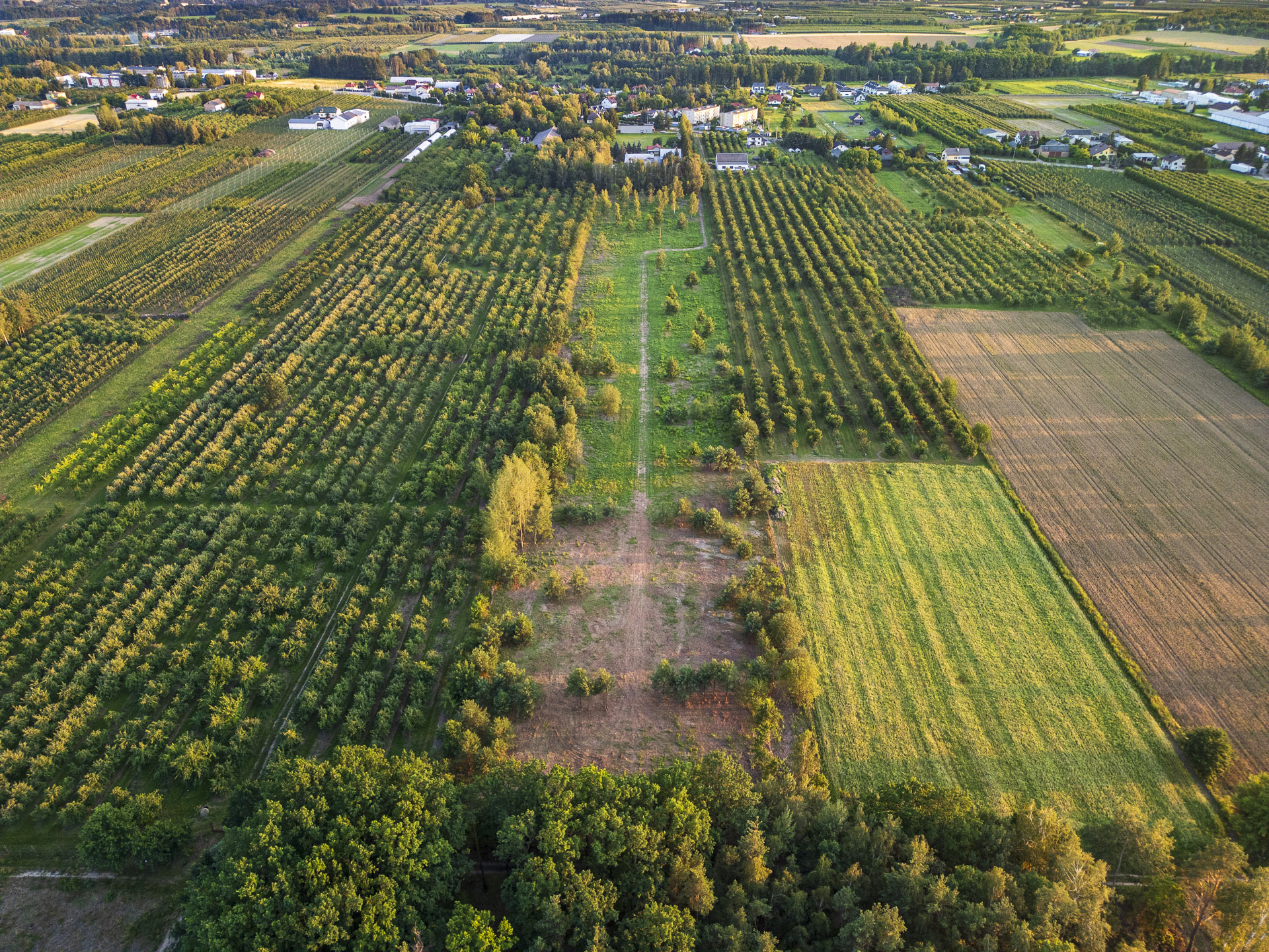 DJI_0773