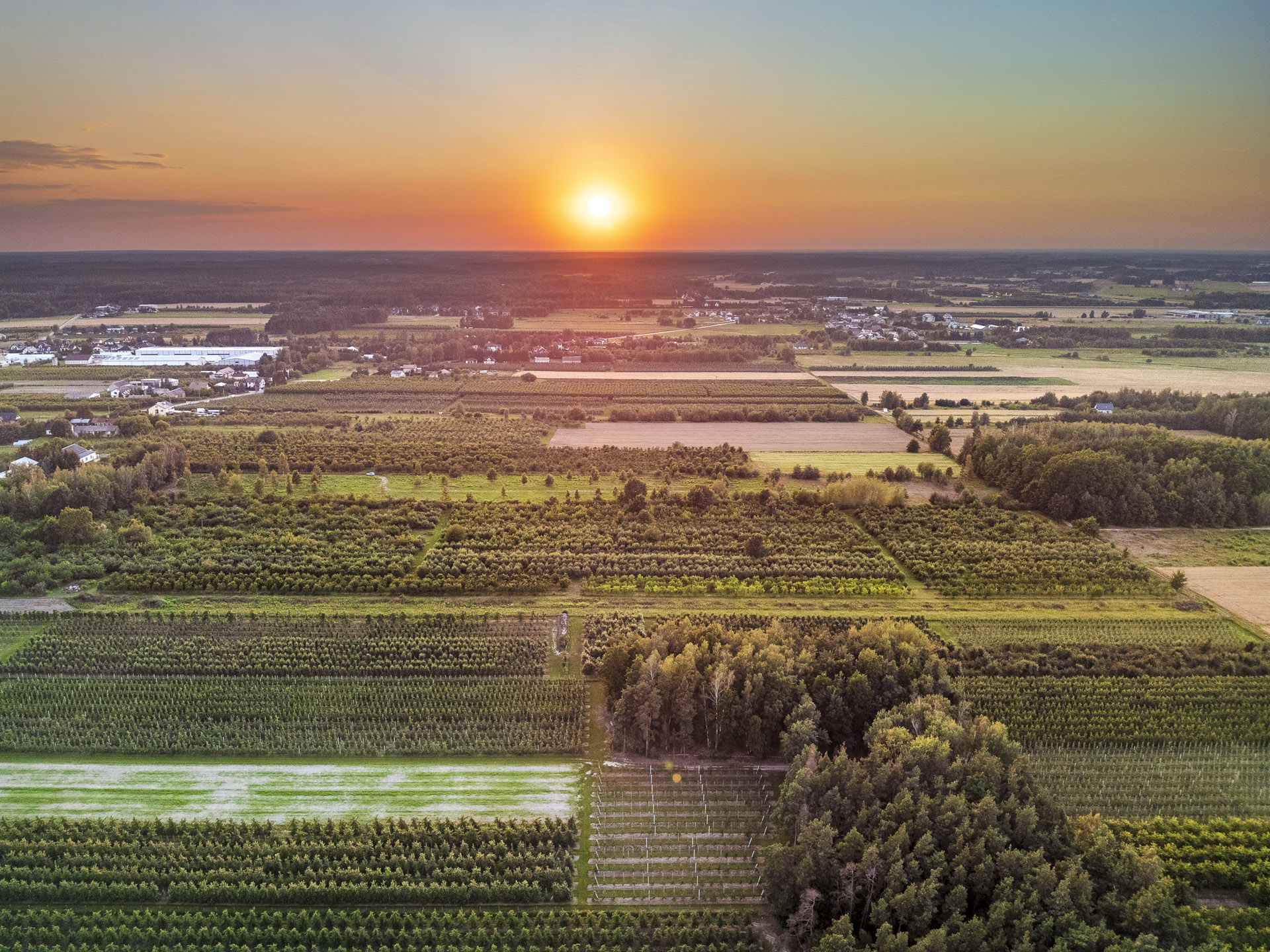 DJI_0895